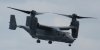 osprey 0003.jpg