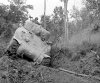 Bogged down Shermans Minturno Italy, Gustav Line May 1944 01.jpg