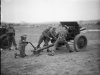 RAF manning M1917 75mm.jpg