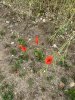 upload_2023-6-27_14-53-33.jpeg