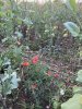 upload_2023-10-9_9-39-56.jpeg