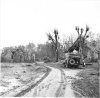 IWM B 14414.jpg