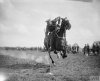 Cavalryman_Tent-pegging_skills_at_a_Horse_show_1917.jpg