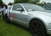 DSCF7418.JPG