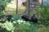IMG_0226.jpeg