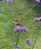 IMG_3503.jpeg