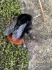 IMG_3561.jpeg