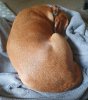 Dont disturb.jpg