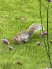 IMG_3718.jpeg