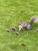 IMG_3719.jpeg