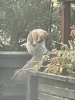 IMG_3728.jpeg