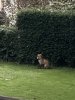IMG_4061.jpeg