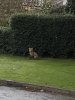 IMG_4072.jpeg
