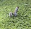IMG_3270.jpeg