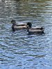 IMG_4292.jpeg