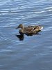 IMG_4293.jpeg