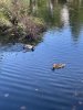 IMG_4298.jpeg