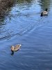IMG_4301.jpeg