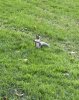 IMG_4317.jpeg