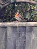 IMG_4397.jpeg