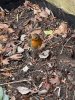IMG_4430.jpeg