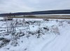 IMG_1140.jpeg