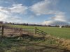 IMG_20241201_112610424_HDR.jpg