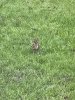 IMG_4725.jpeg