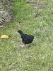 IMG_4710.jpeg
