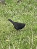 IMG_4717.jpeg