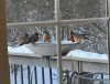 Round Robins Jan2025.jpeg