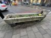 upload_2025-1-19_11-13-46.jpeg