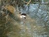 DSCF0217.JPG