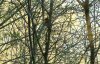 DSCF0219.JPG