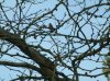 DSCF0223.JPG