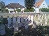 IMG_7811.jpeg