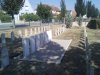IMG_7812.jpeg