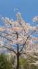 SmartSelect_20260408_235310_Gallery.jpg