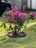 IMG_0002.jpeg