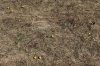 IMG_6548aP.JPG