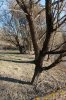 IMG_6559P.JPG