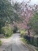 IMG_0040.jpeg