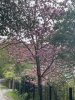IMG_0039.jpeg