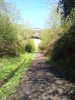 Longdendale Trail 210426b.jpg