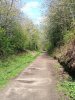 Longdendale Trail 210426c.jpg
