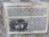 world war 2 military remains (2).JPG