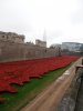 Tower of London Remembrance (5).JPG