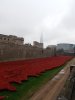Tower of London Remembrance (6).JPG