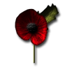 Inarus