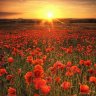 In Remembrance
